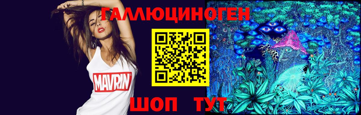 Псилоцибиновые грибы Cubensis Тобольск